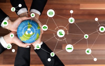 Economia circolare e formazione: preparare le aziende al cambiamento